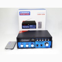 Усилитель BM AUDIO BM-600BT USB Блютуз 300W+300W 2х канальный Караоке