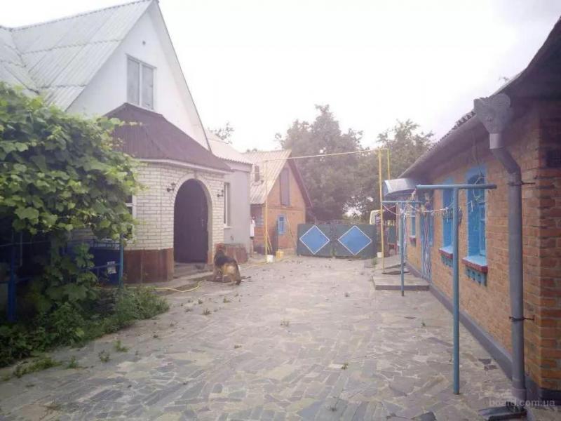 Фото 2. Дом, хоз.постройки, сад (домовладение) в с.Мизяковские Хутора, Вин р-н